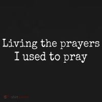 Living The Prayers I Used To Pray USA-Made Doggie Bandana thumb 2