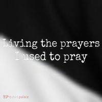 Living The Prayers I Used To Pray Toddler Fine Jersey T-Shirt thumb 2