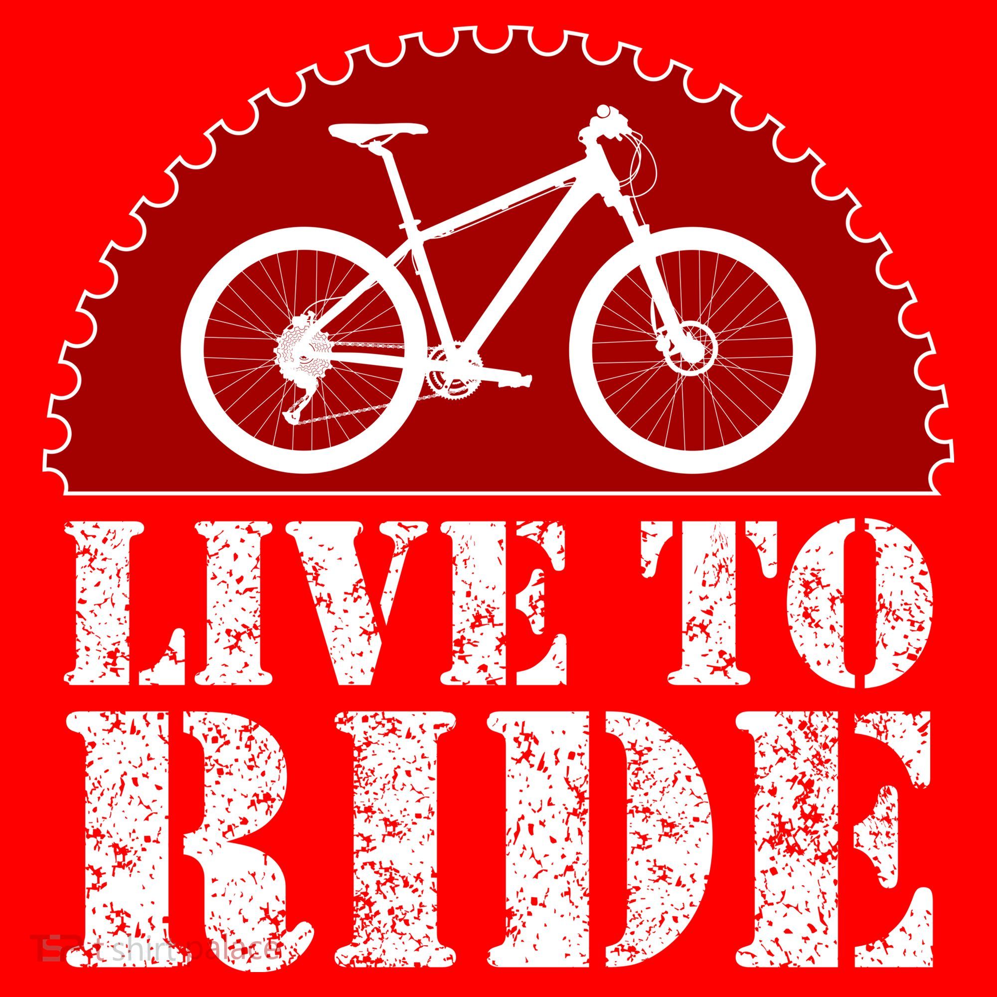 Live To Ride Biking Visor