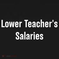 Lower Teacher Salaries Funny Teacher Toddler Hoodie thumb 2
