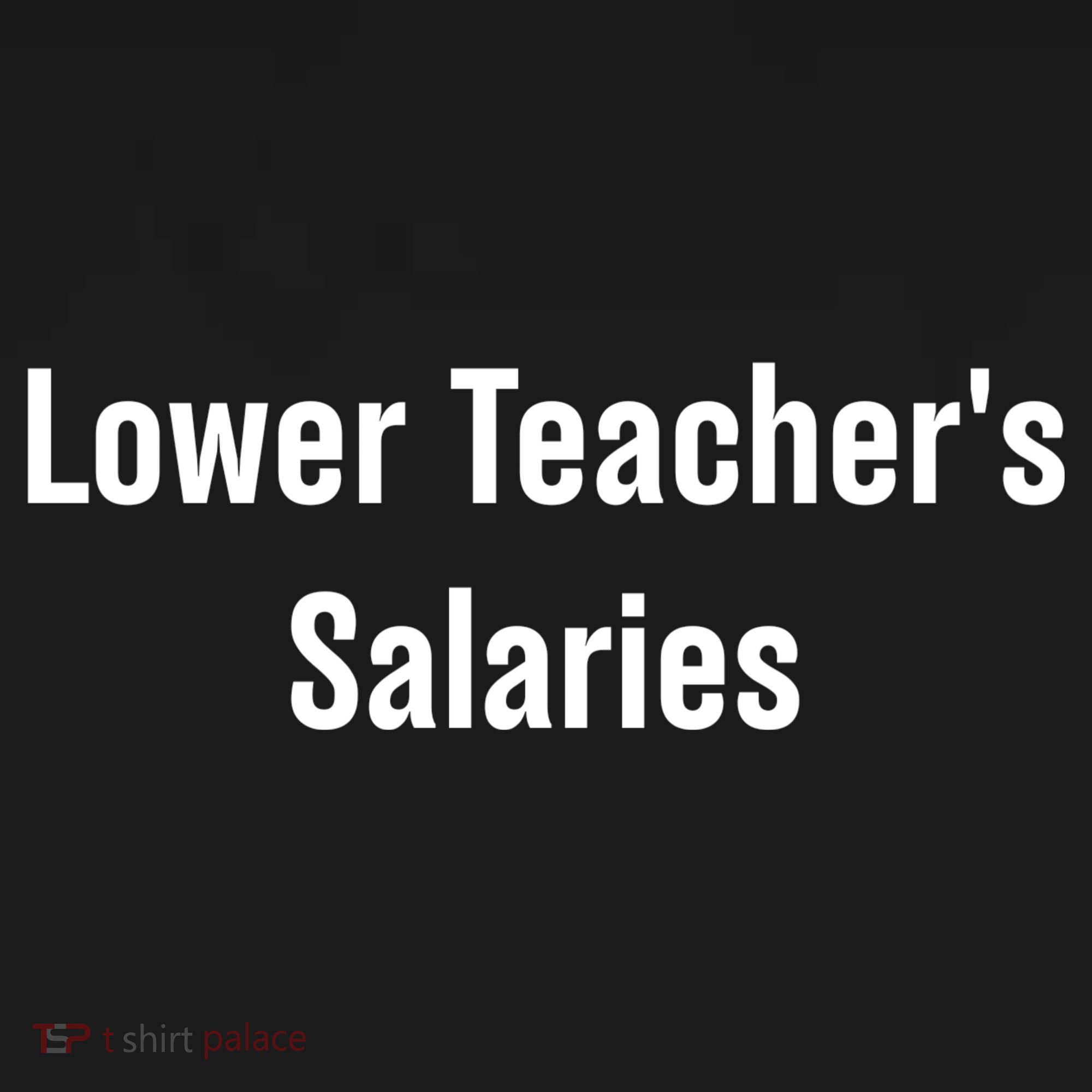 Lower Teacher Salaries Funny Teacher Toddler Hoodie