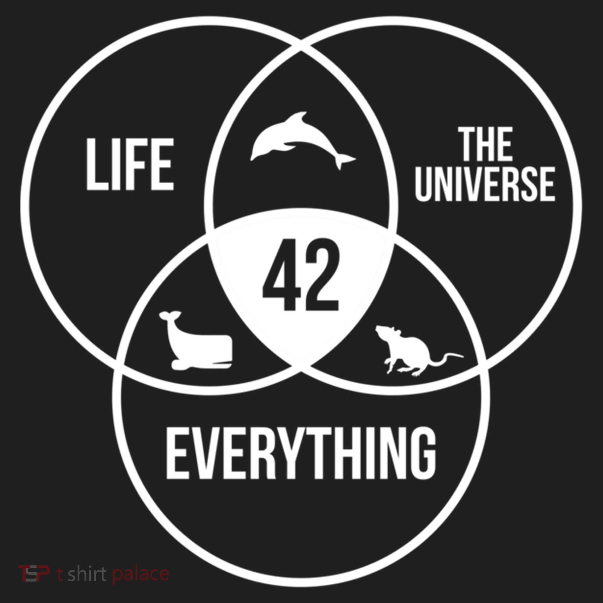 Life The Universe And Everything 42 Answer To Life Meaningful Gift Beanie