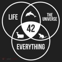 Life The Universe And Everything 42 Answer To Life Meaningful Gift Hat thumb 2