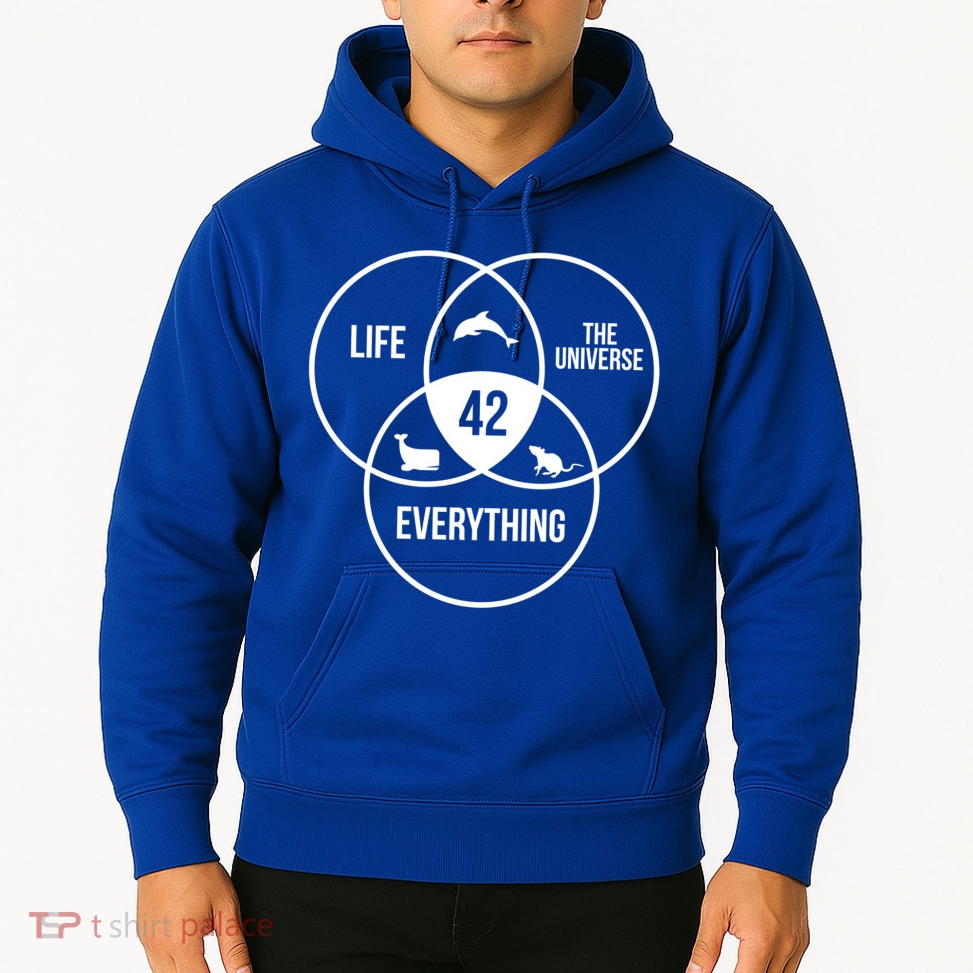 Life The Universe And Everything 42 Answer To Life Meaningful Gift Hoodie