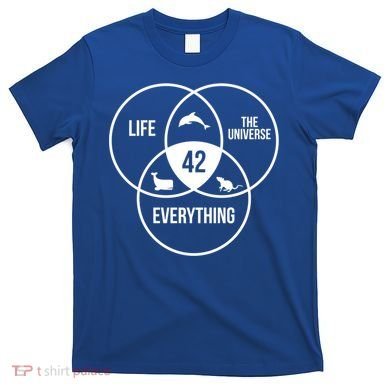 Life The Universe And Everything 42 Answer To Life Meaningful Gift T-Shirt