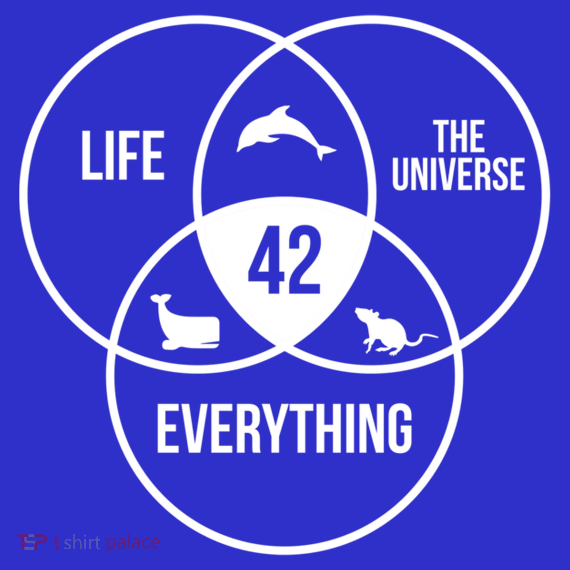 Life The Universe And Everything 42 Answer To Life Meaningful Gift Mousepad