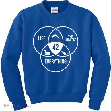 Life The Universe And Everything 42 Answer To Life Meaningful Gift Kids Sweatshirt