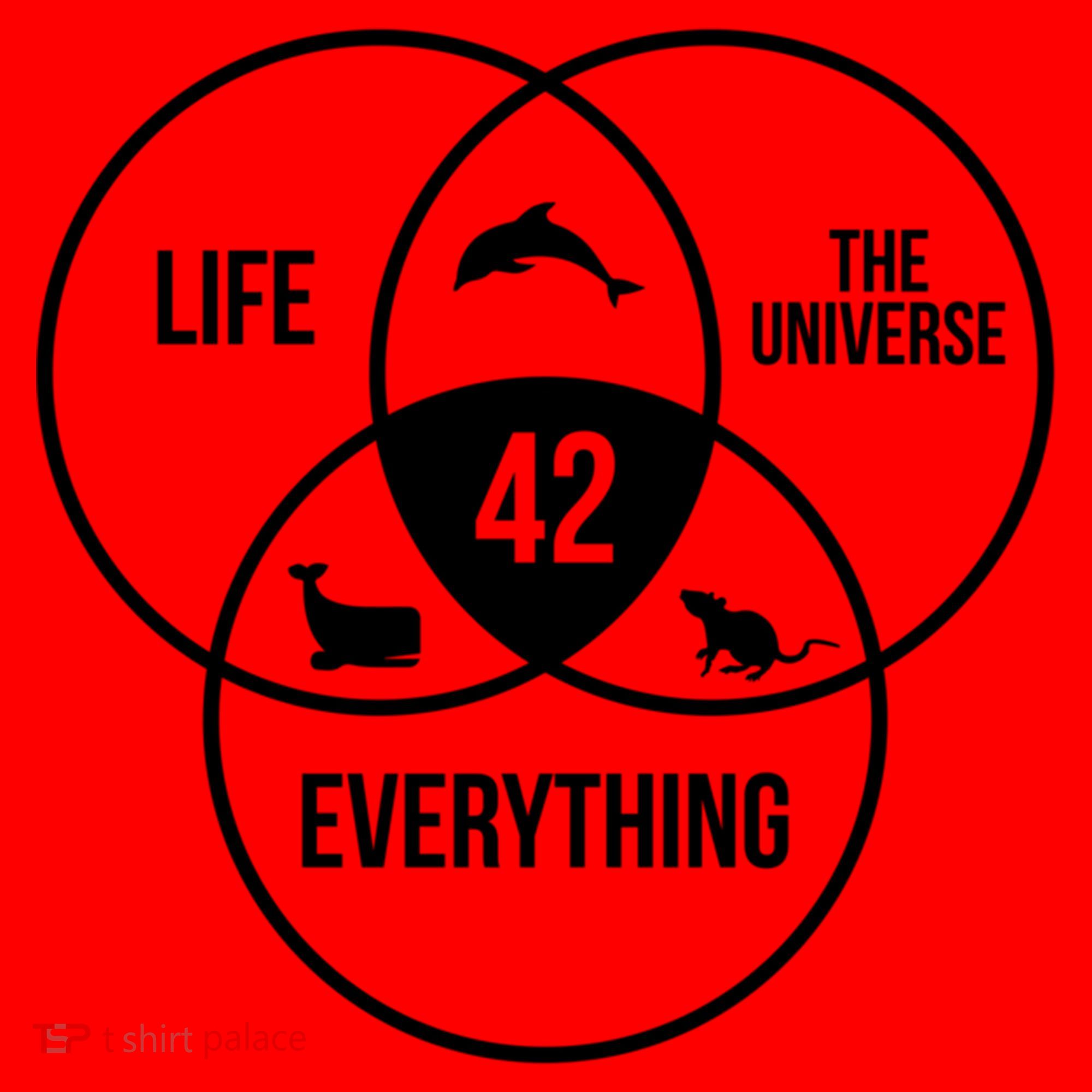 Life The Universe And Everything 42 Answer To Life Meaningful Gift Santa Hat