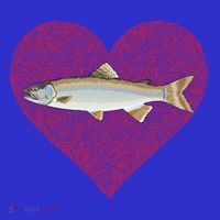Lake Trout Valentines Day Fish Love Fingerprint Cool Gift Women's T-Shirt thumb 6