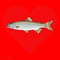 Lake Trout Valentines Day Fish Love Fingerprint Cool Gift Santa Hat thumb 1