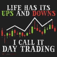 Life Ups And Downs Day Trading Crypto Stock Market Trader Beanie thumb 2