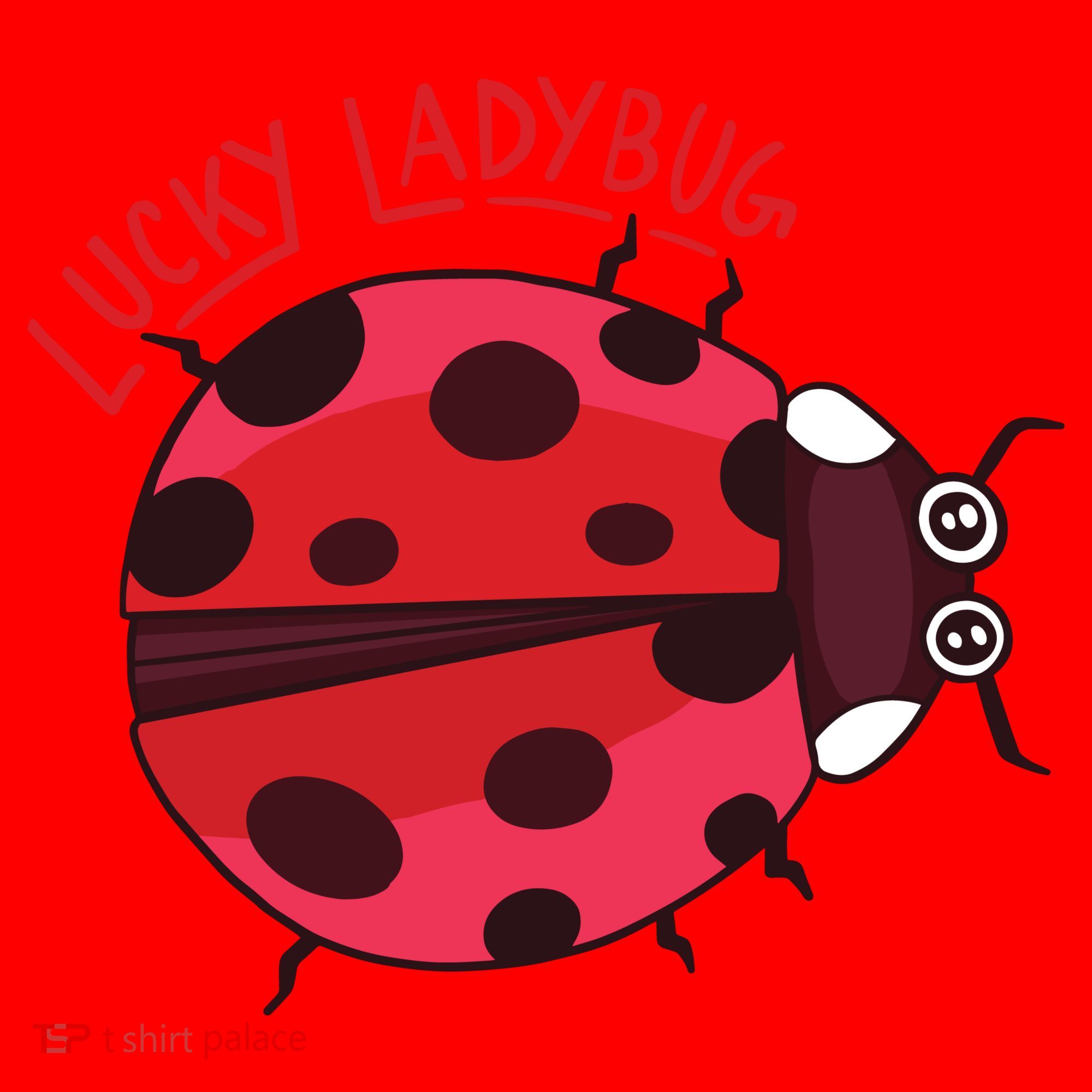 Lucky Ladybug Santa Hat