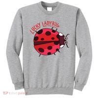 Lucky Ladybug Sweatshirt thumb 0