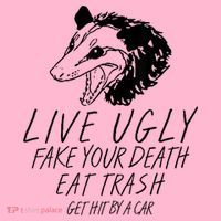 Live Ugly Fake Your Death Eat Trash Get Hit By A Car Opossum Coaster thumb 2