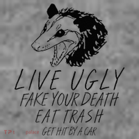 Live Ugly Fake Your Death Eat Trash Get Hit By A Car Opossum Toddler Hoodie thumb 2