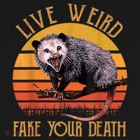 Live Ugly Fake Your Death Fynny Retro Vintage Opossum T-Shirt thumb 7