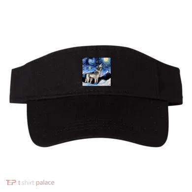 Visor