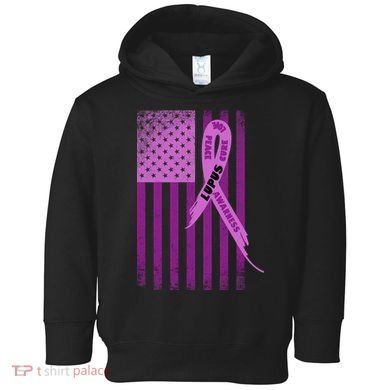 Lupus Awareness Flag Toddler Hoodie