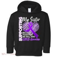 Lupus Awareness Love Support My Sister Toddler Hoodie thumb 0
