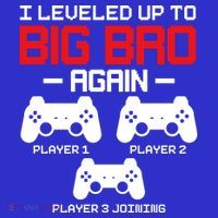 Leveled Up To Big Bro Again New Big Brother Gift Announcement T-Shirt thumb 7
