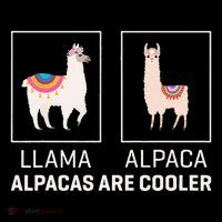Llama Vs Alpaca Alpacas Are Cooler Funny Alpaca Lover Women's Hoodie thumb 2