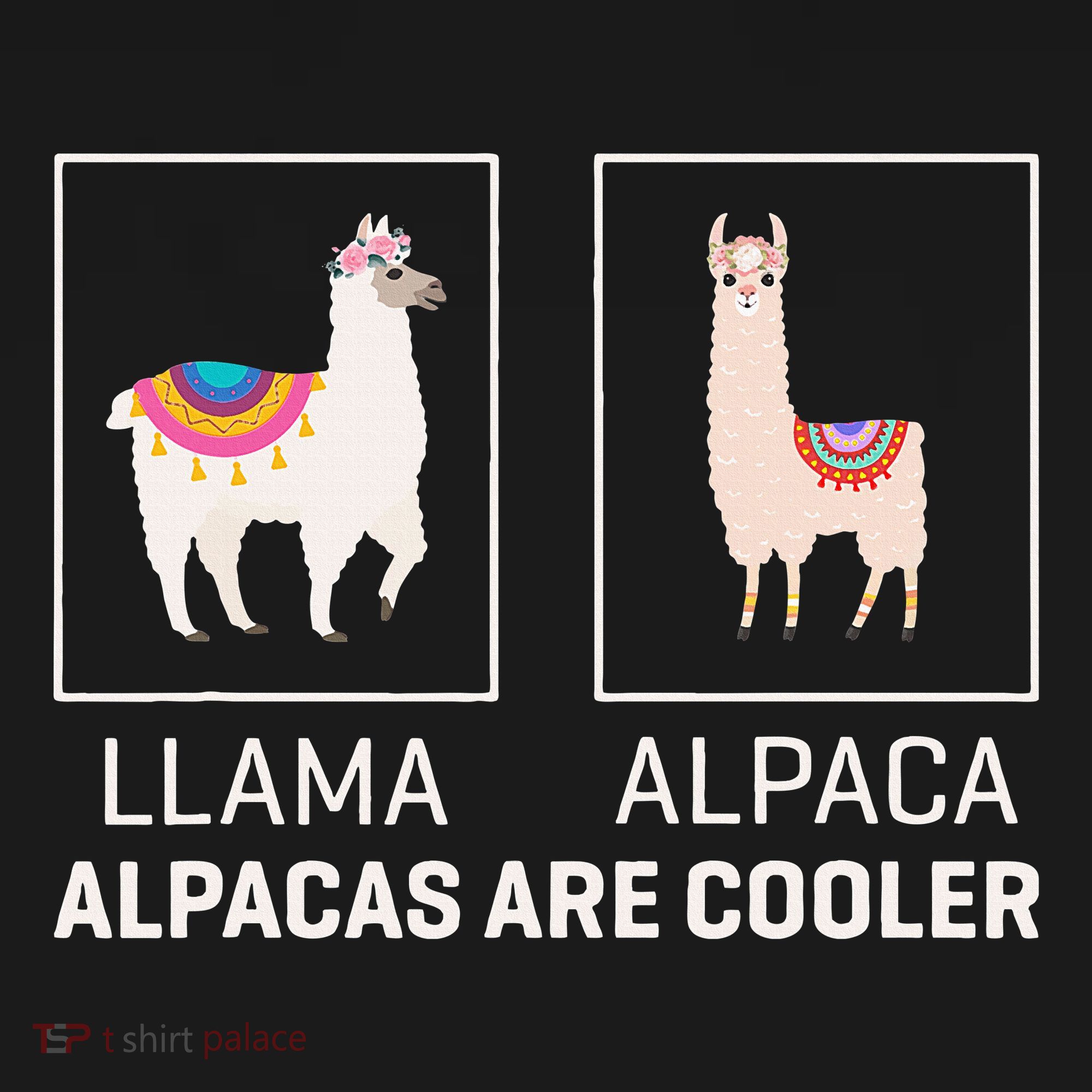 Llama Vs Alpaca Alpacas Are Cooler Funny Alpaca Lover Women's T-Shirt