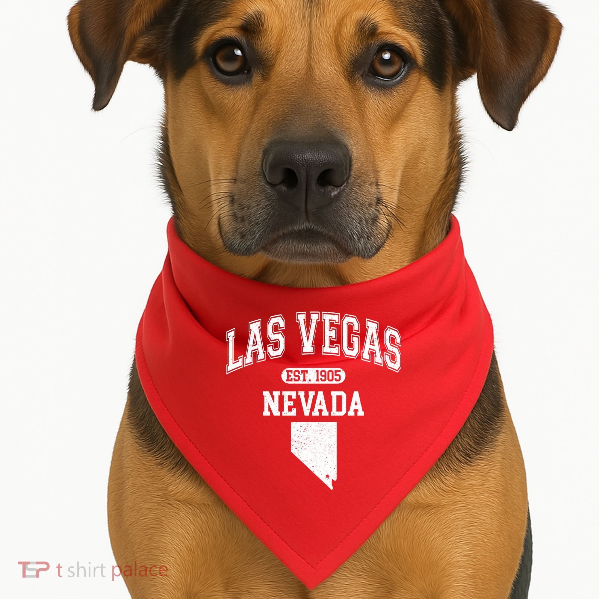 Las Vegas Nevada Est 1905 Varsity USA-Made Doggie Bandana