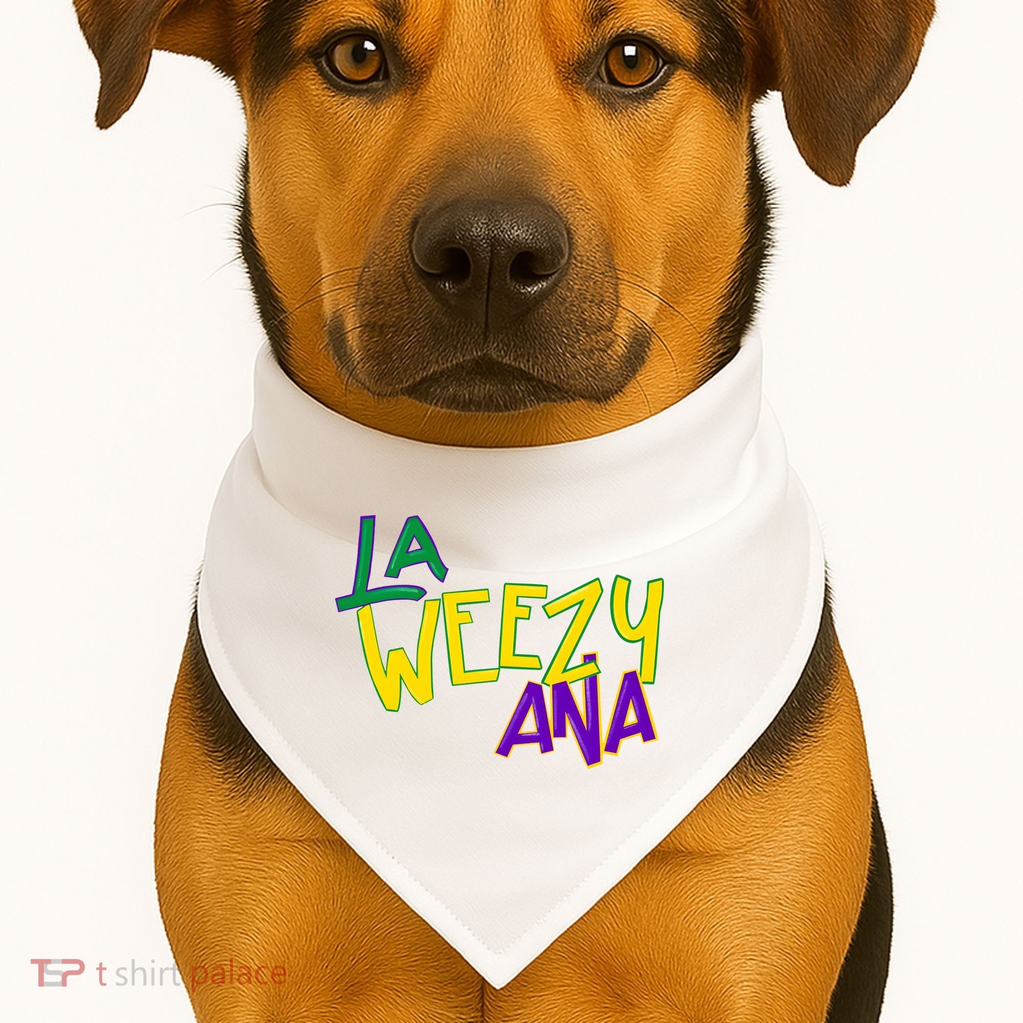 La Weezy Ana Mardi Gras USA-Made Doggie Bandana