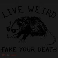 Live Weird Fake Your Death Cool Graphic Awesome Opossum Ornament thumb 1
