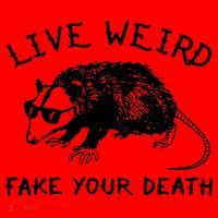 Live Weird Fake Your Death Cool Graphic Awesome Opossum Santa Hat thumb 1