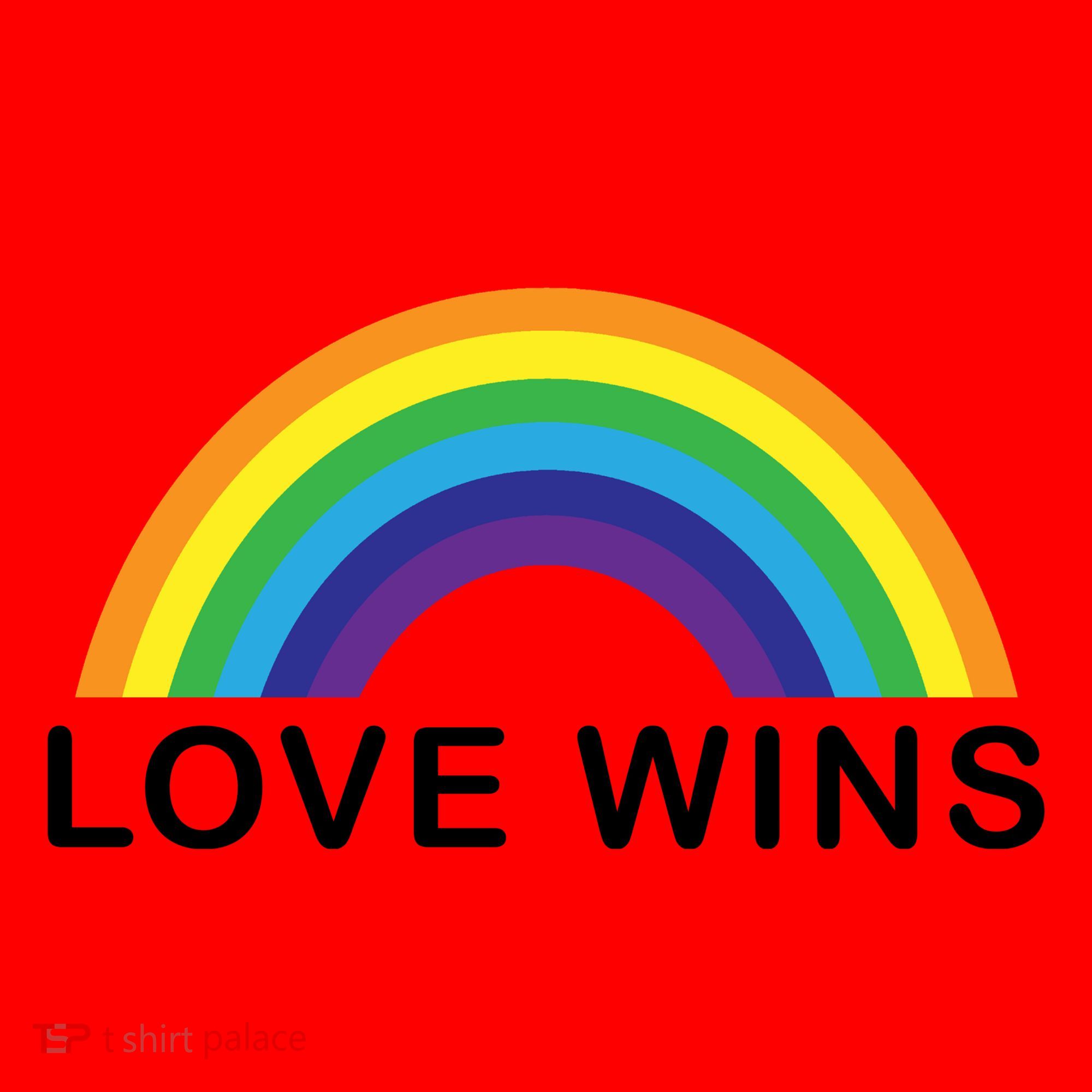 Love Wins Lgbtq Pride Month Rainbow Santa Hat