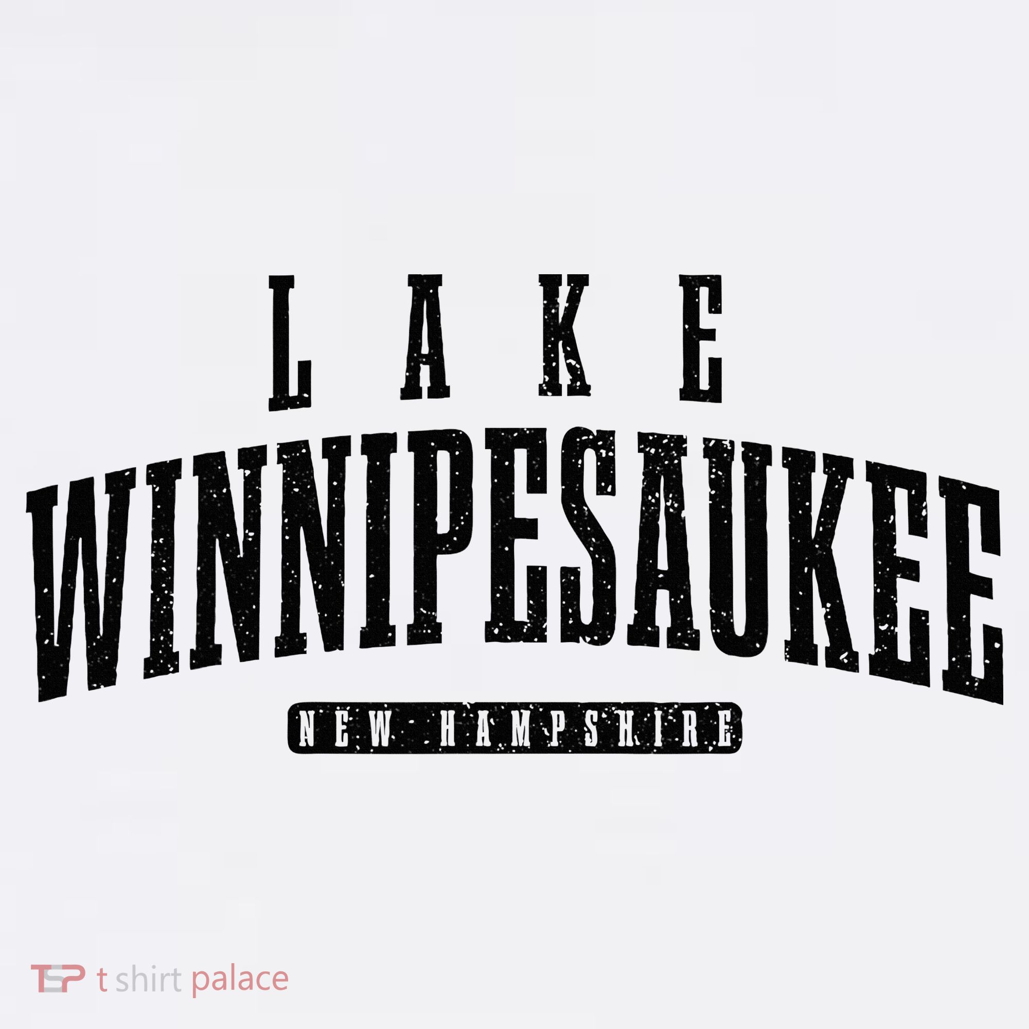 Lake Winnipesaukee New Hampshire Vintage T-Shirt