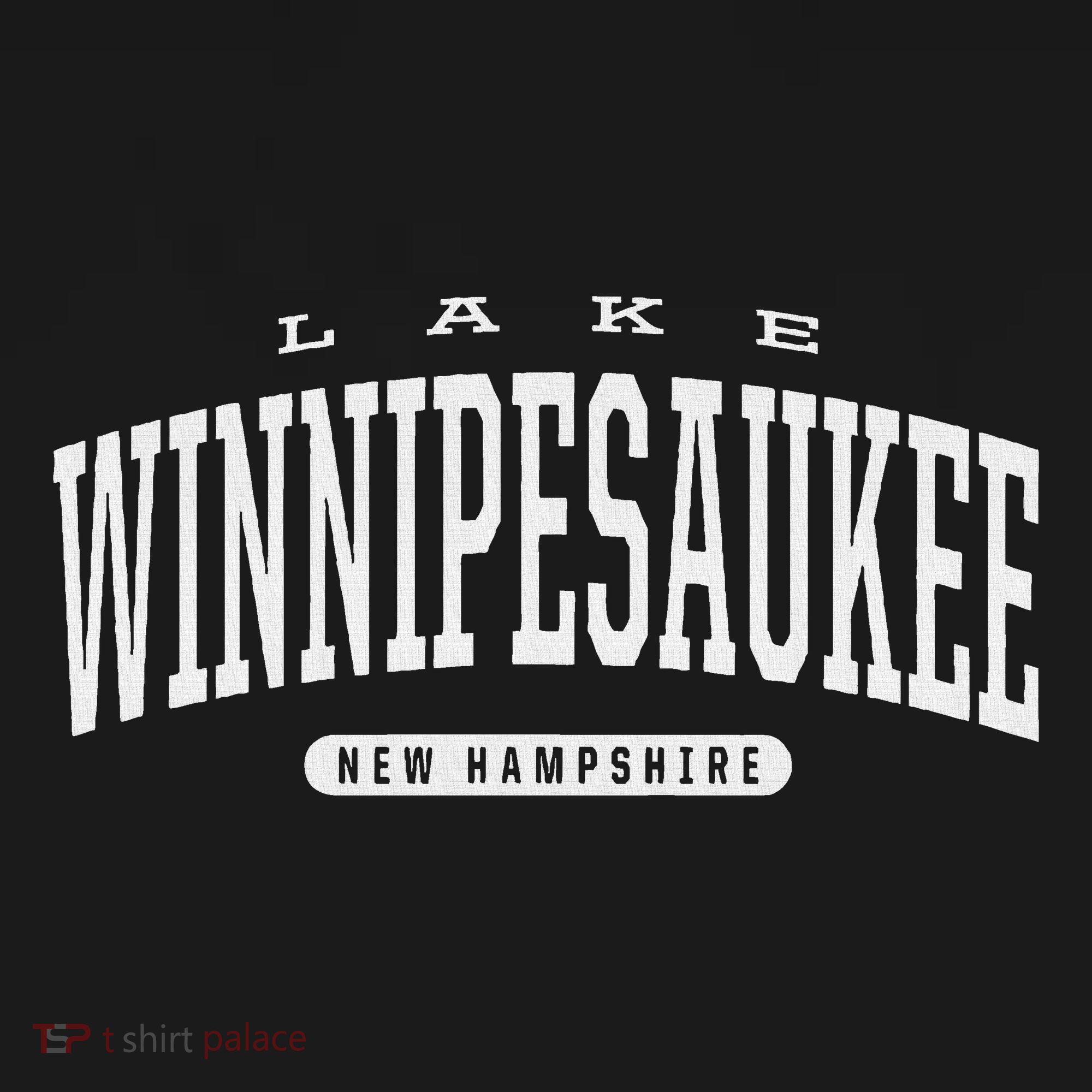 Lake Winnipesaukee New Hampshire Winnipesaukee Nh T Coaster