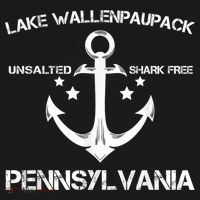 Lake Wallenpaupack Pennsylvania Funny Fishing Camping Gif T-Shirt thumb 7