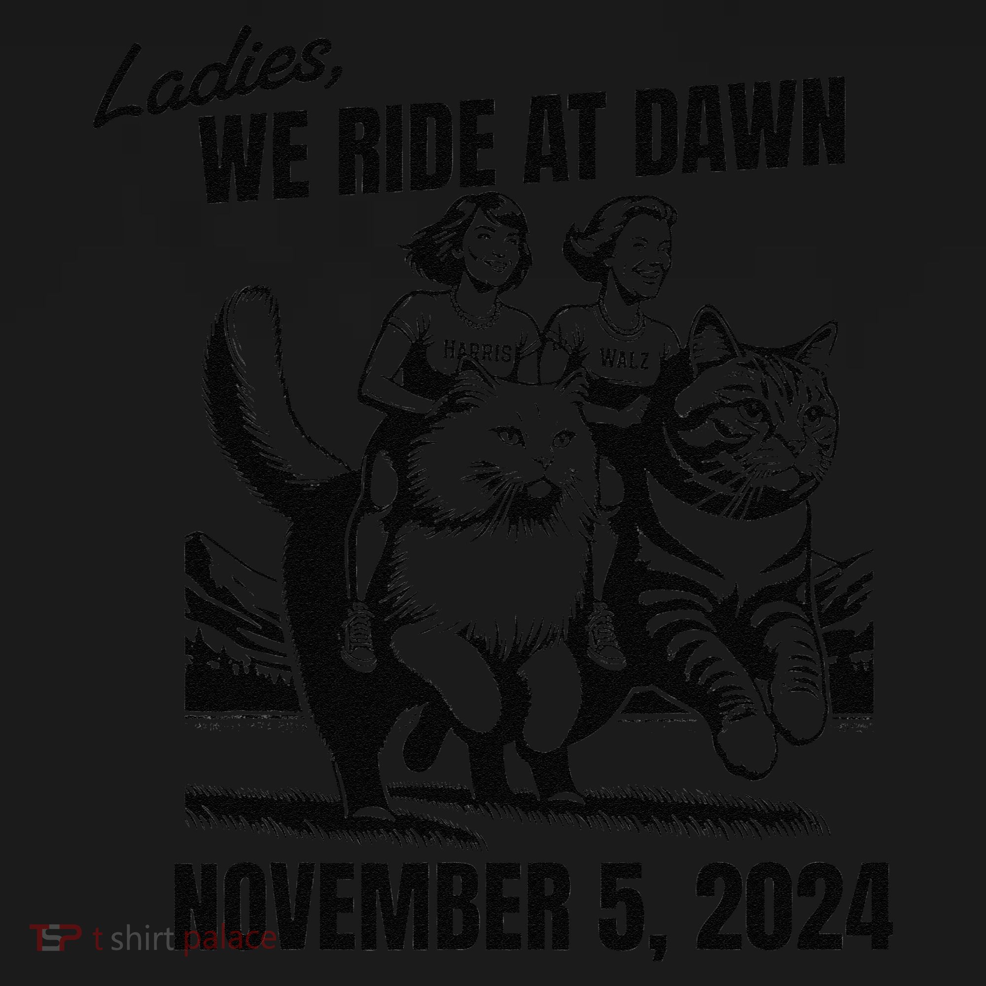 Ladies We Ride At Dawn November 5 2024 Cat Lady Election Women's Hoodie