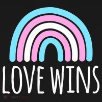 Love Wins Transgender Rainbow Pride Month Ornament thumb 1