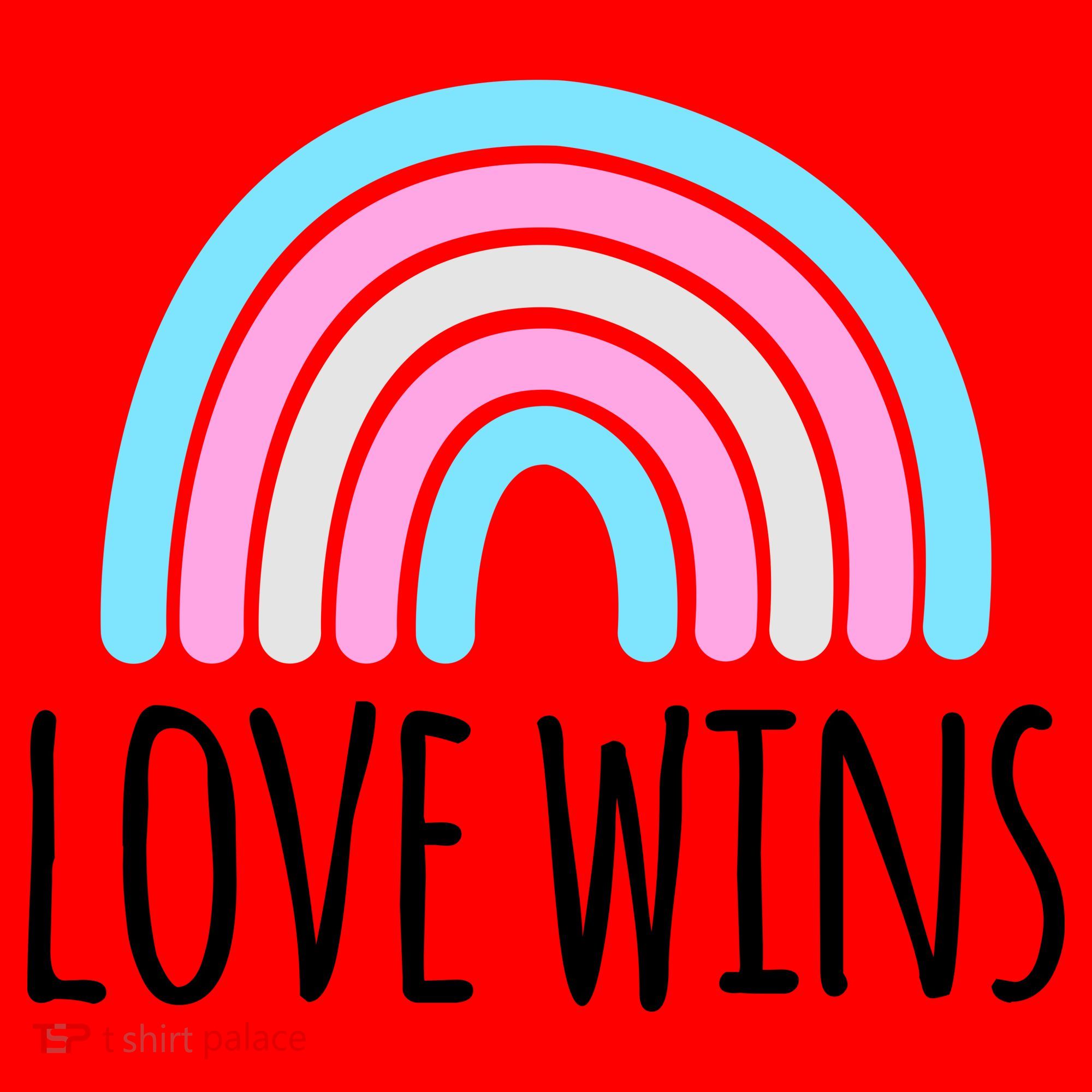 Love Wins Transgender Rainbow Pride Month Santa Hat