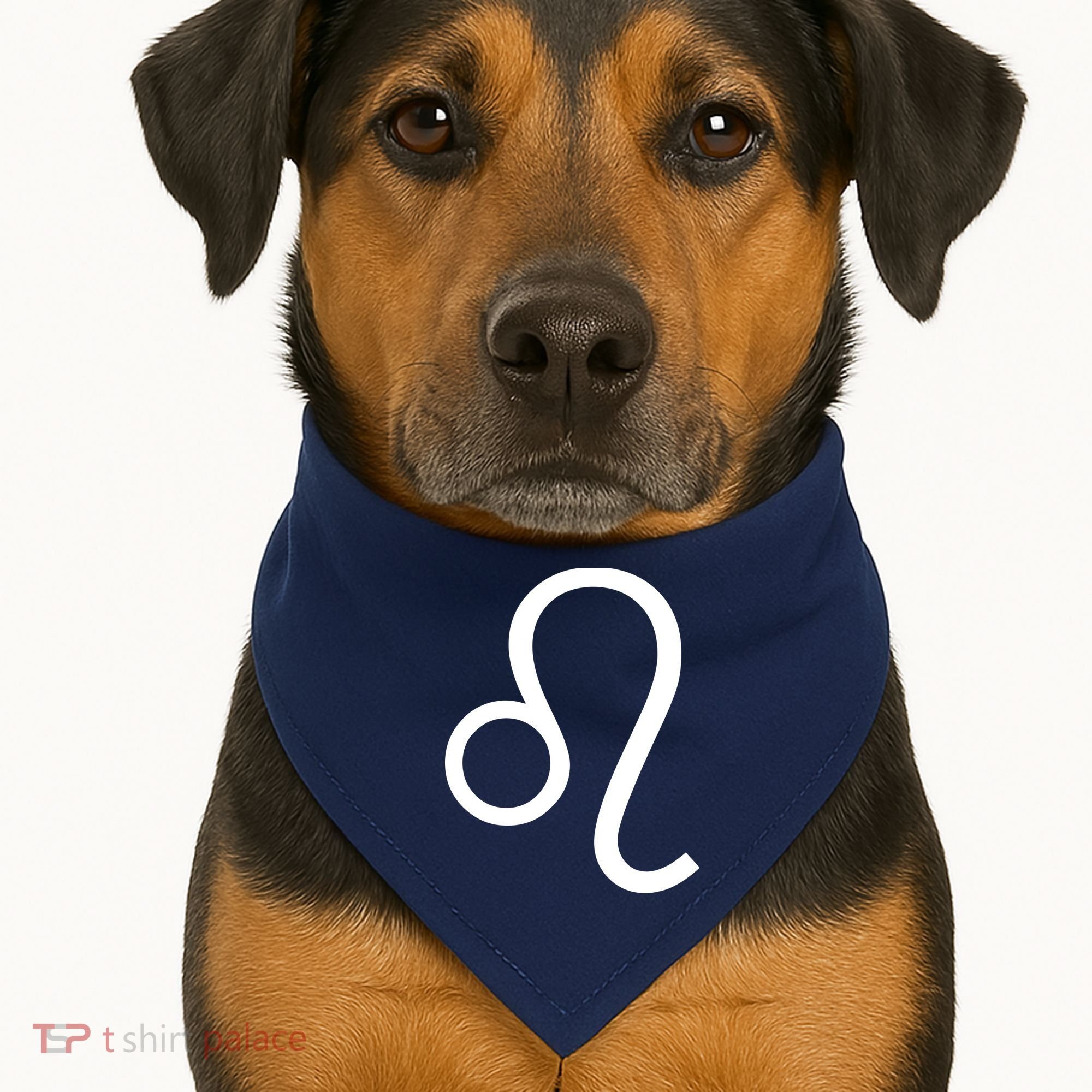 Leo Zodiac USA-Made Doggie Bandana