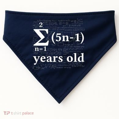 Math 13 Birthday Boy 13 Yr 13 Year Old Boy 13th Birthday USA-Made Doggie Bandana