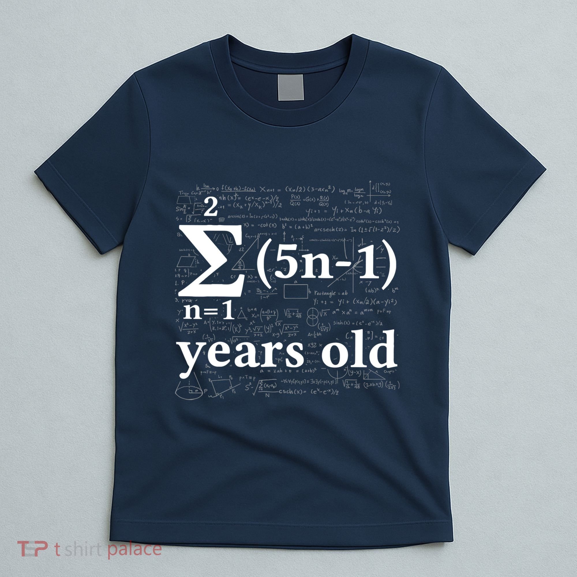 Math 13 Birthday Boy 13 Yr 13 Year Old Boy 13th Birthday T-Shirt