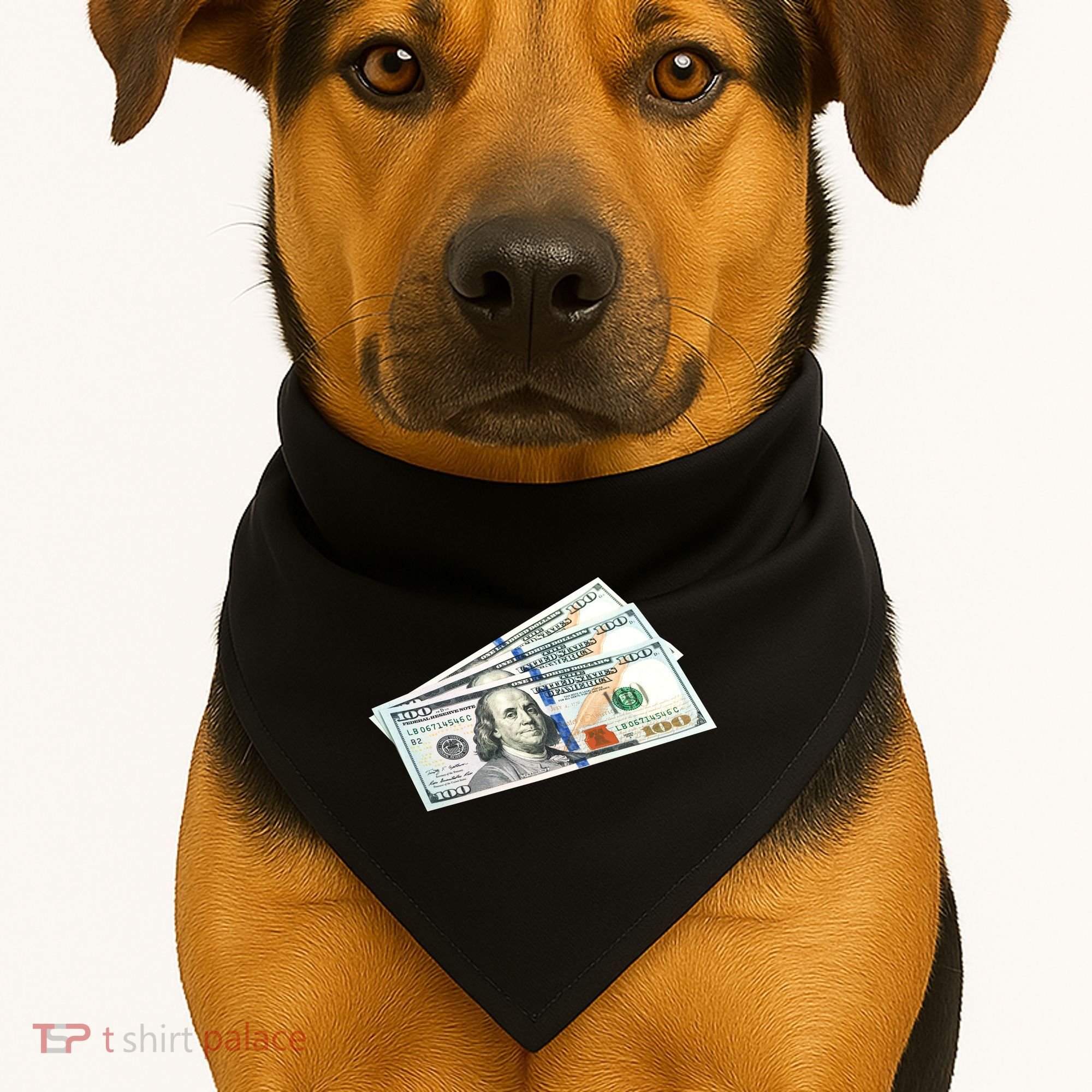 Money $100 Dollar Bills Bill Baller Big Ben Franklin USA-Made Doggie Bandana
