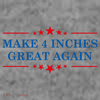 Make 4 Inches Great Again American Political Quote Gift Toddler Hoodie thumb 2