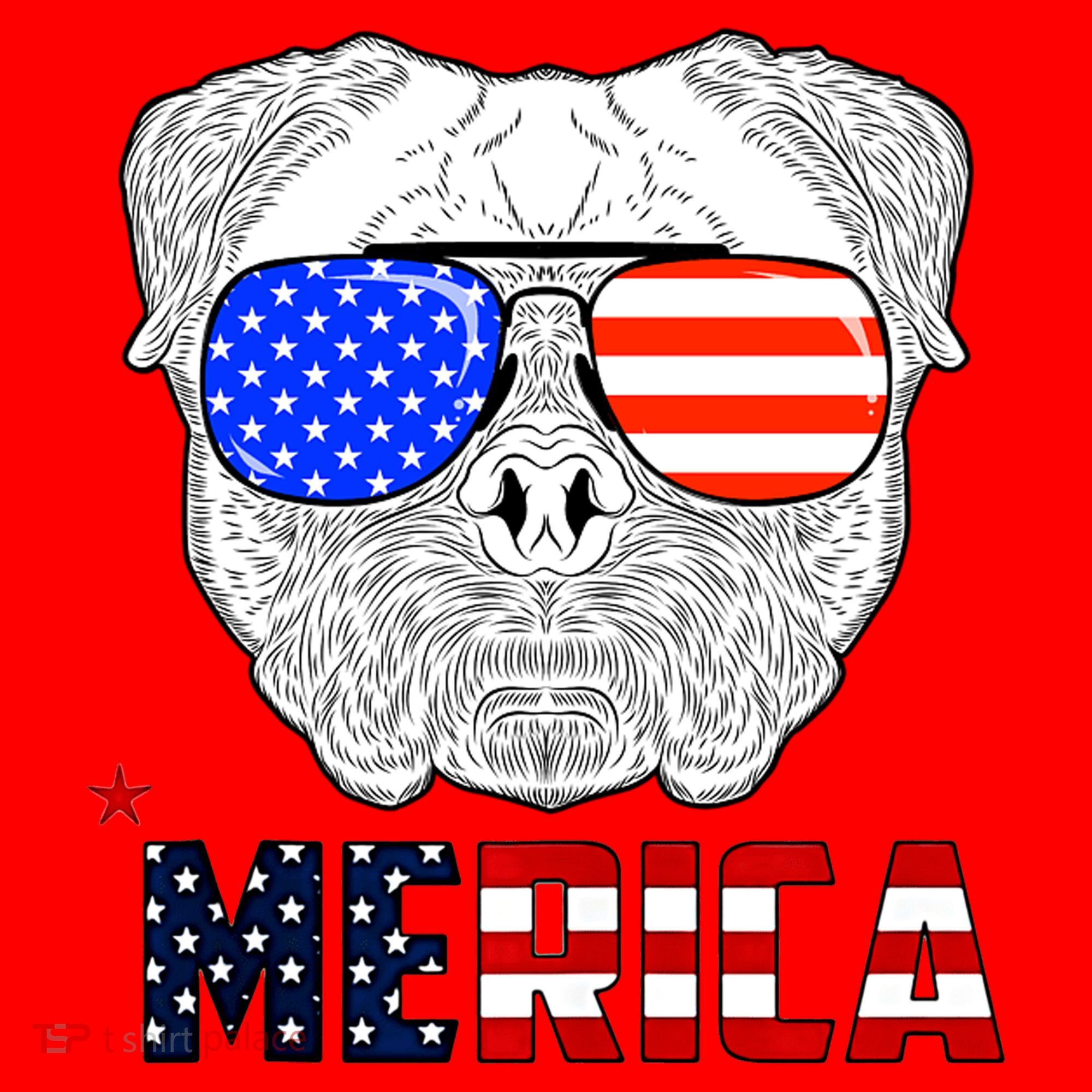 Merica 4th Of July Cool Bulldog Funny Santa Hat