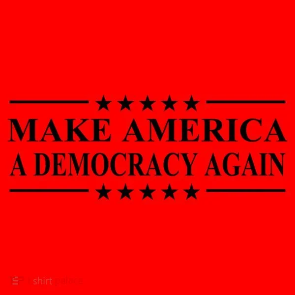 Make America A Democracy Again Gift Santa Hat