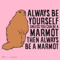 Marmot Always Be Yourself Unless You Can Be A Marmot Hoodie thumb 7