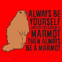 Marmot Always Be Yourself Unless You Can Be A Marmot Santa Hat thumb 1