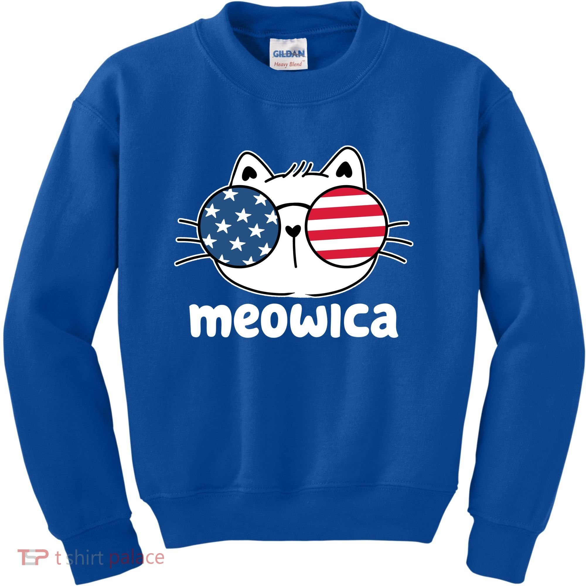 Meowica America Cat Cute Kids Sweatshirt