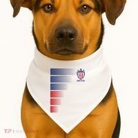 Made In USA Soccer Team Flag USA-Made Doggie Bandana thumb 1