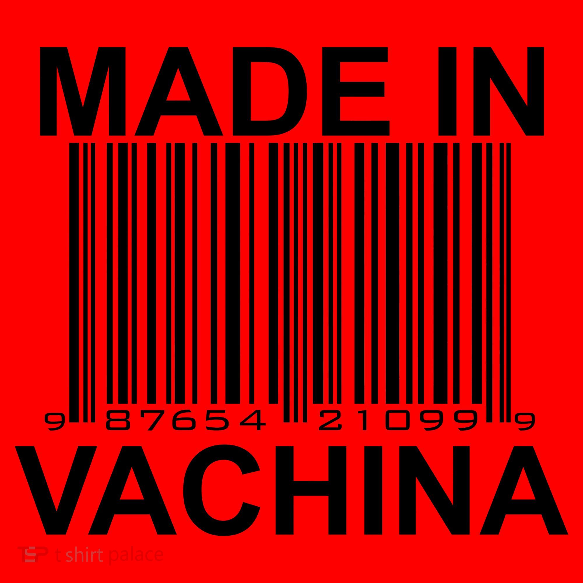 Made In Vachina  Santa Hat