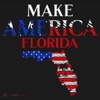 Make America Florida Funny Patriotic Freedom USA Toddler T-Shirt thumb 4